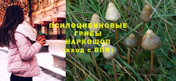 прущая мука Аркадак