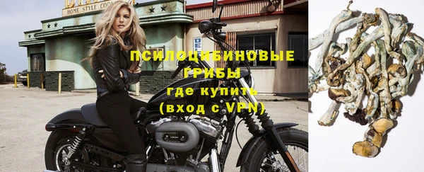 тгк Армянск