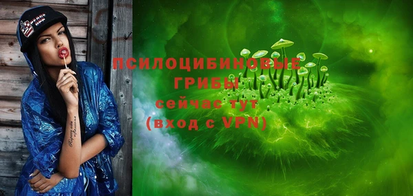 сатива Алексин