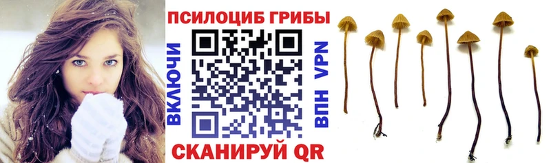 Псилоцибиновые грибы Psilocybine cubensis  Арсеньев 